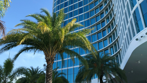 HOTÉIS EM ORLANDO (2025): Guia Completo para Famílias (Melhores Localizações e Custo-Benefício FORA DOS COMPLEXOS) 